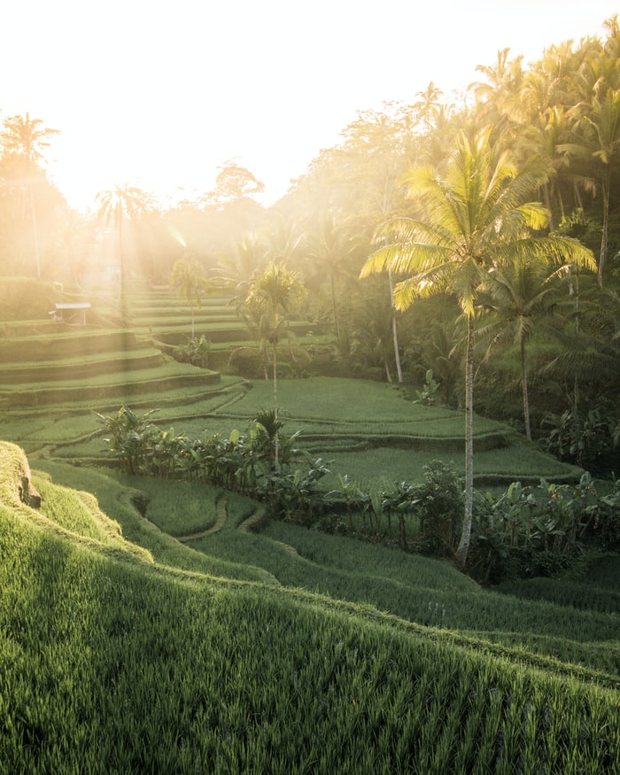 Bali Reopens To Domestic Tourism After Five Month Shutdown