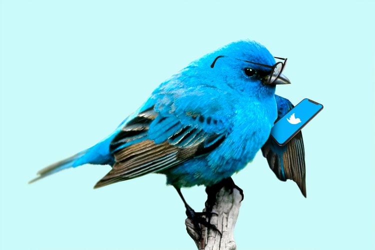 Twitter Responds To One Demand – But Still No Edit Function