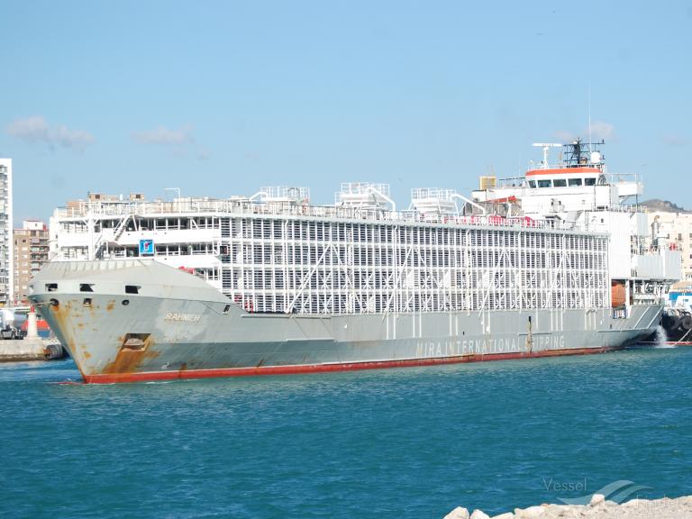 Ship Missing NE of Taiwan With 42 Still Onboard, 1 Rescued
