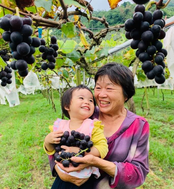 Nantou – Taiwan’s Land Of Rich Alpine Fruit