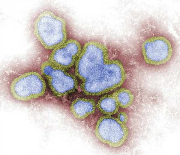 Flu Vaccine Now The Suspected Killer Of 13 In South Korea