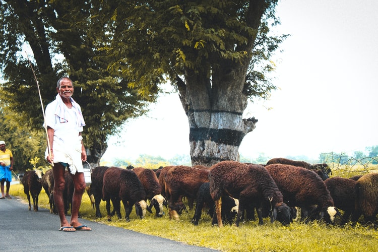 India’s Huge Farming Sector Starting To Turn Against PM Modi