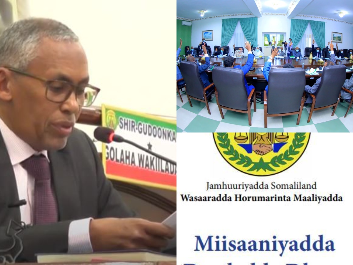 Taiwan Ally Somaliland Submits 2021 Budget; Mental Health & ‘Khat’ Link Features