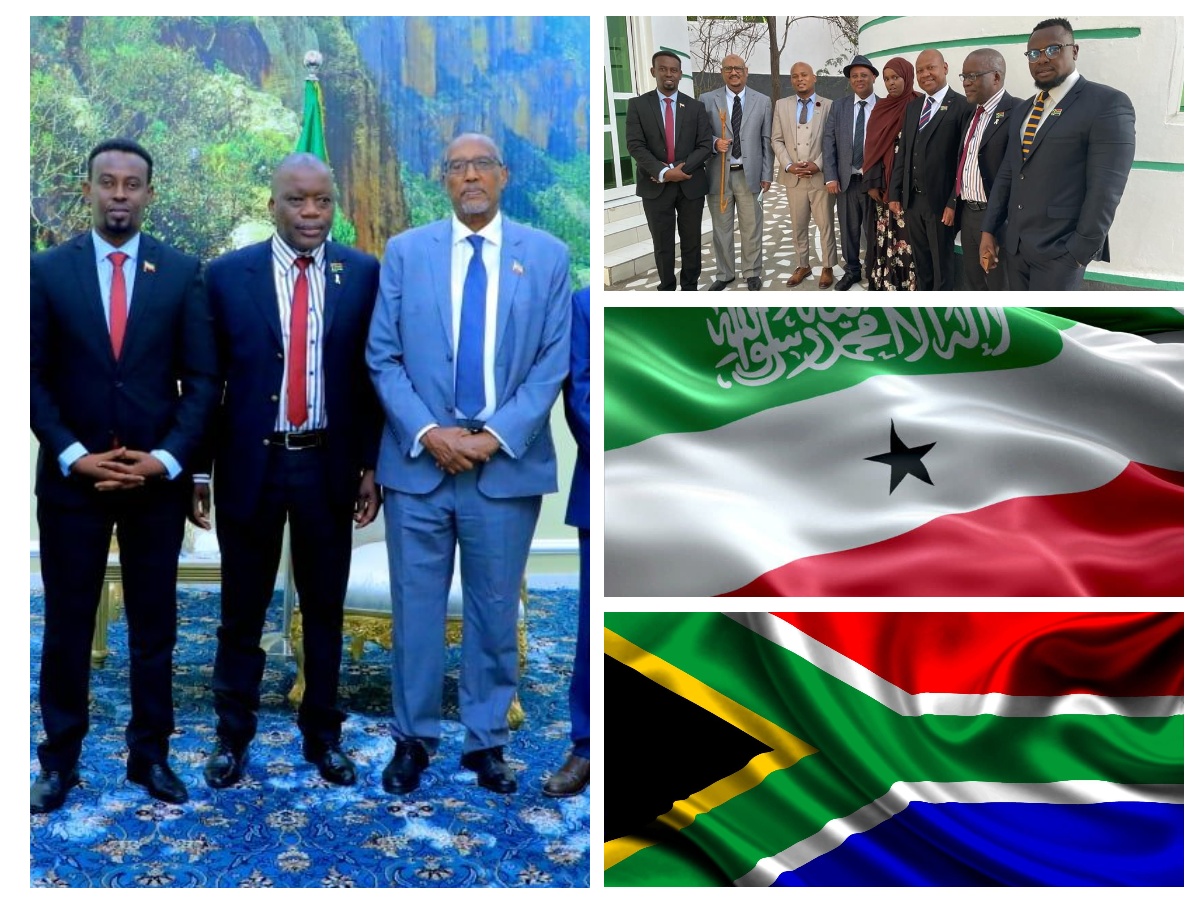 Interview: Mr. Mhlekwa Nxumalo – South African Delegation To Somaliland