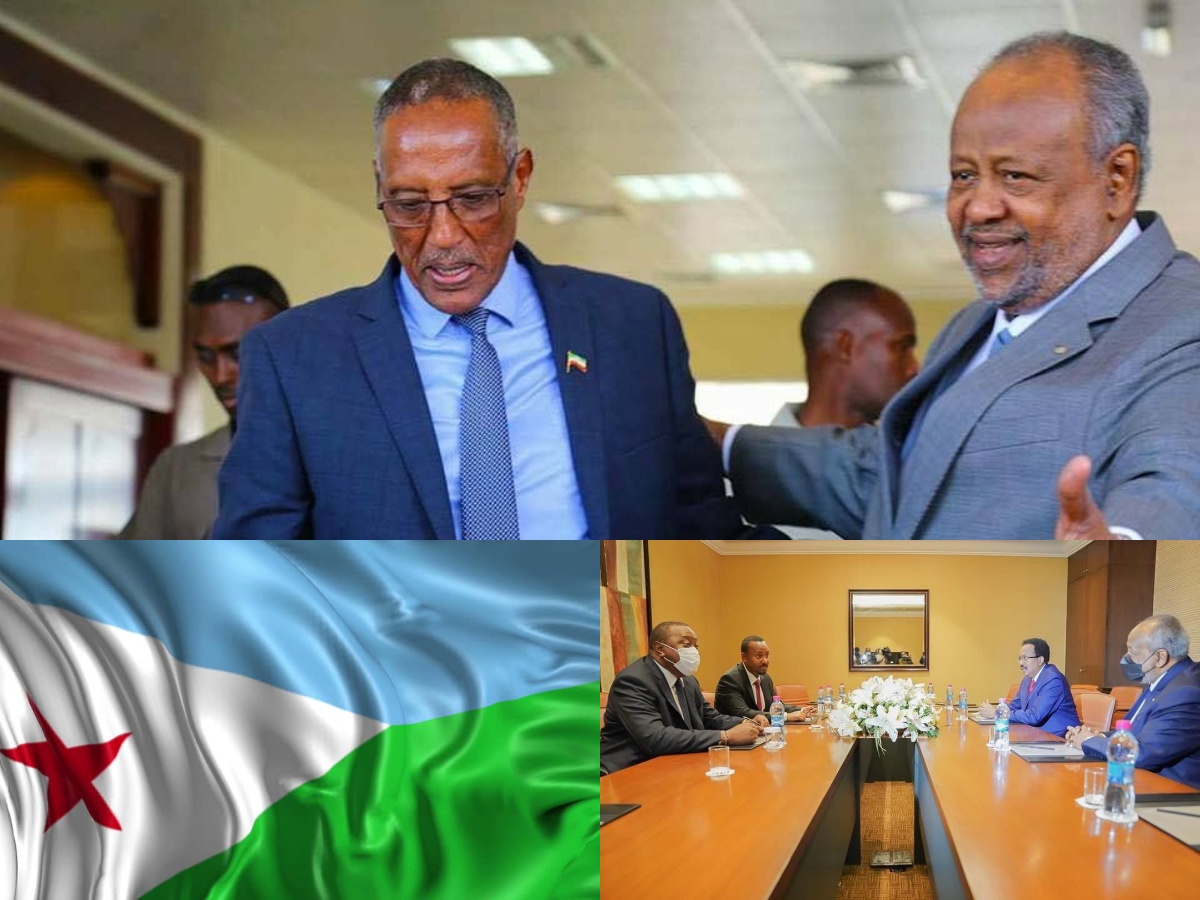 Djibouti Next Target Of Somaliland Diplomatic Outreach