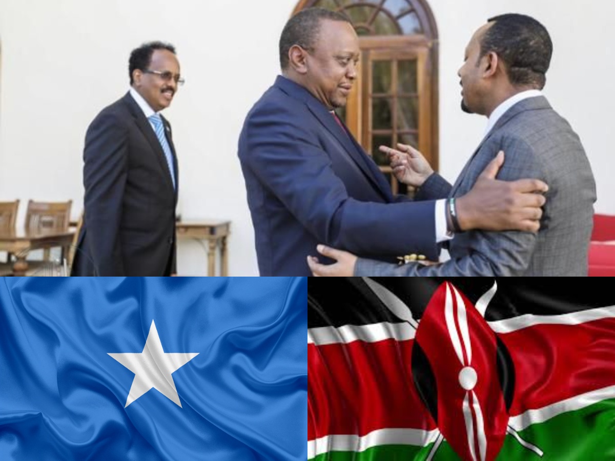 Somalia Severs Ties With Kenya Over Links To Somaliland