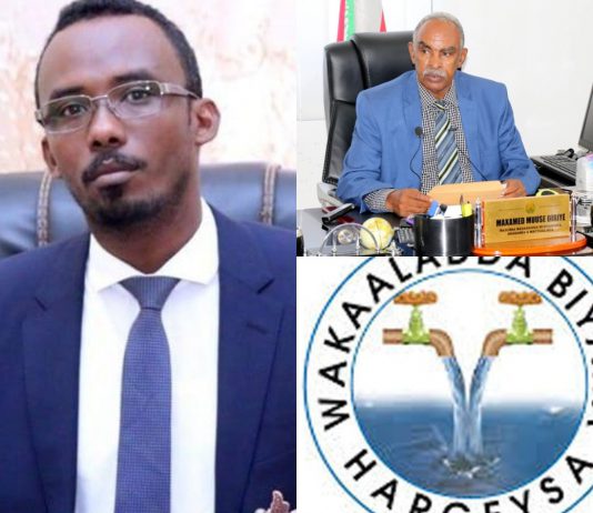 Somaliland Water Agency Stuns Customers With Mandate Of New Water Meter