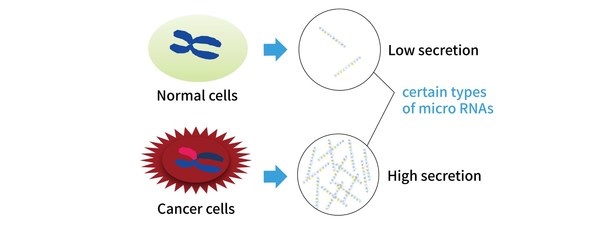 Fast Detection of 13 Cancer Types Using Blood microRNA Detection Tech