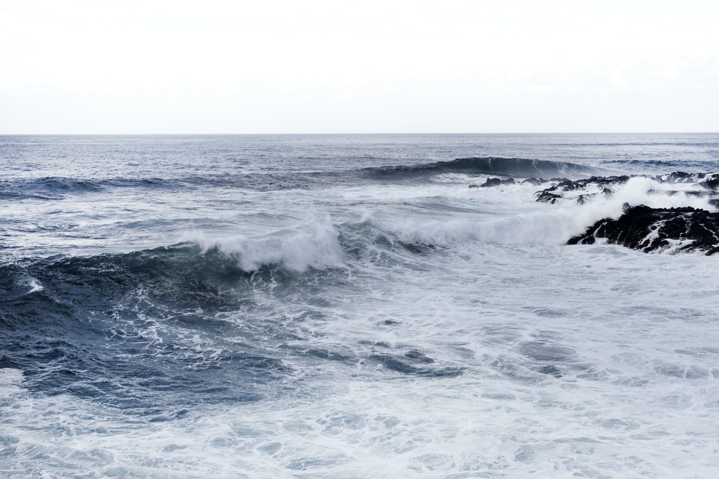 Over 300 Companies, Organizations Join Forces To Help Save World’s Ocean Infrastructure