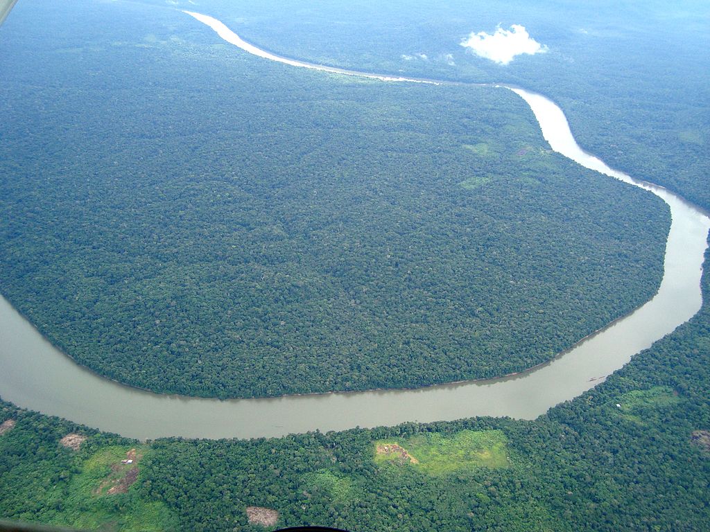 Facebook Knowingly Facilitates Illegal Sales Of Amazon Rainforest