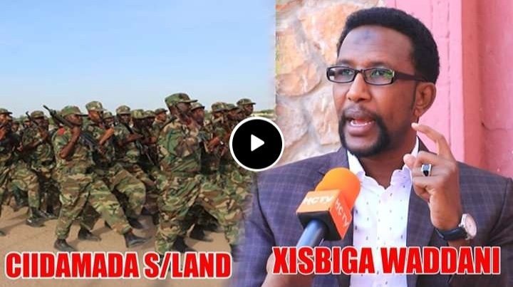 Somaliland Opposition Urges Mutineers To Return To Barracks