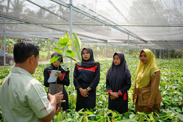 Cocoa Farming Communities In Indonesia To Benefit From Big-Business Tie-up