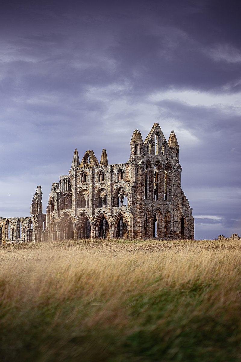 Dracula Fans Get COVID Fine In Northern England