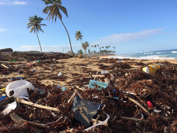 Taiwan Govt Policy Lacking When It Comes To Plastic Product Usage