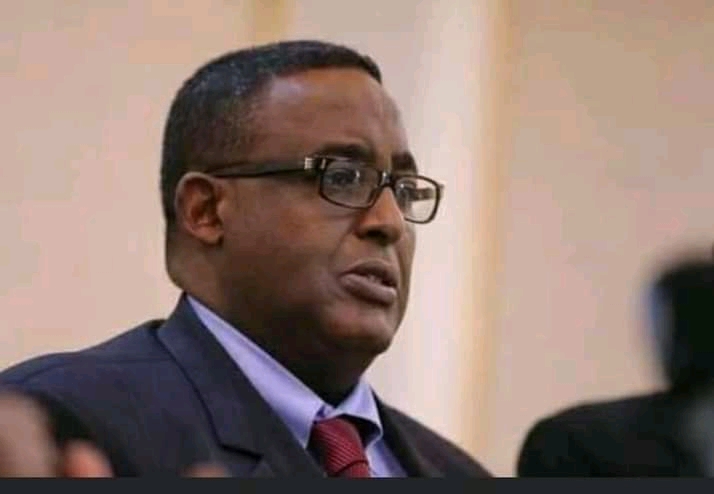 Former Somalia PM Calls For Sanctions