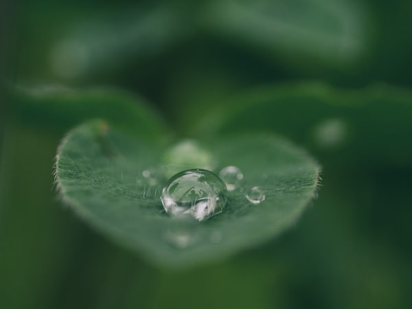 ‘For A Sustainable Future’ Campaign Launched By Energy Leader