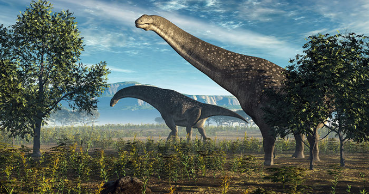 The  new dinosaur species found in Australia is the largest one