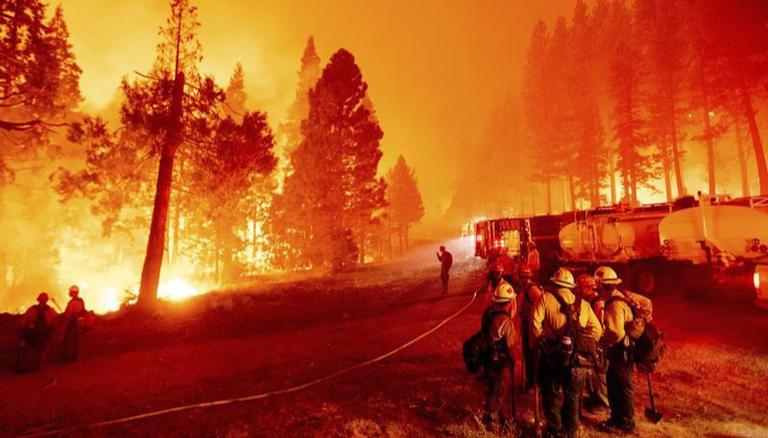 Huge wildfire left thousands homeless in Spain