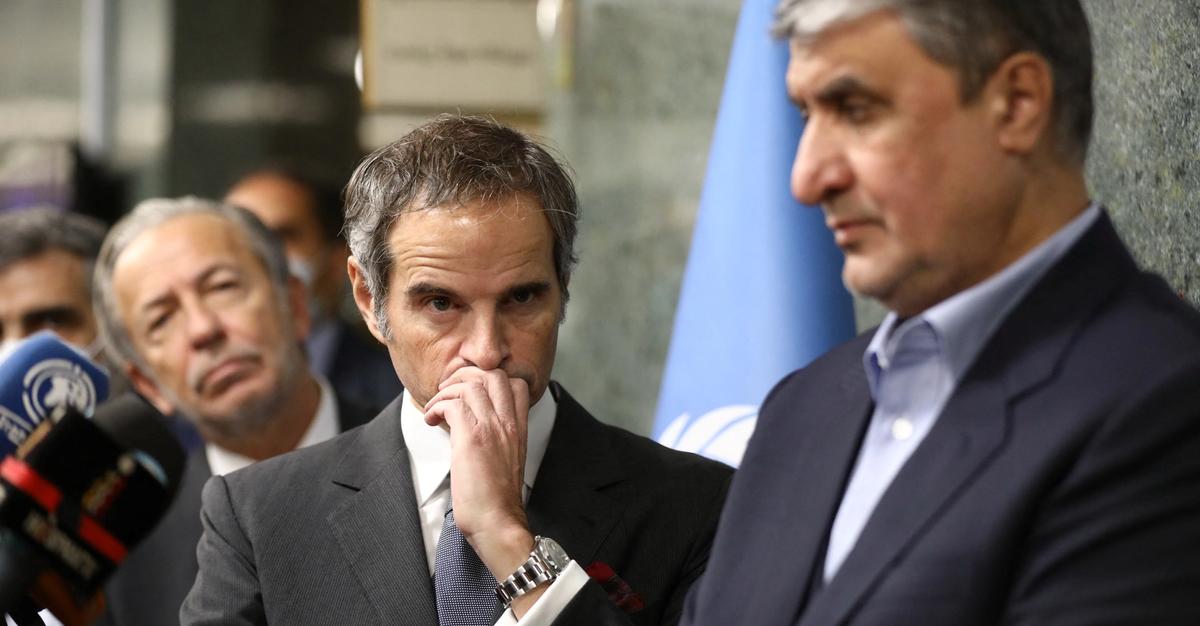 Ukraine disagrees with UN’s nuclear watchdog for alleged invitation