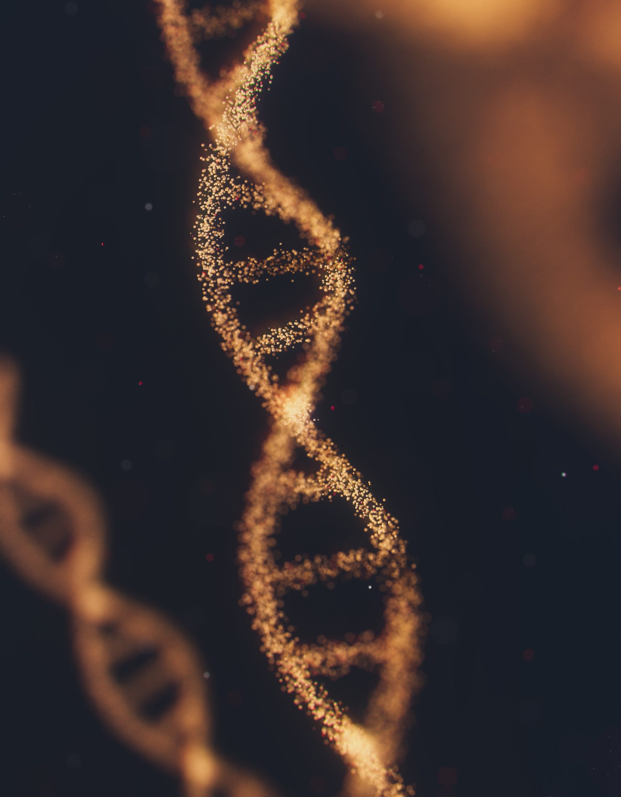 Why the term ‘Junk DNA’ is so misleading