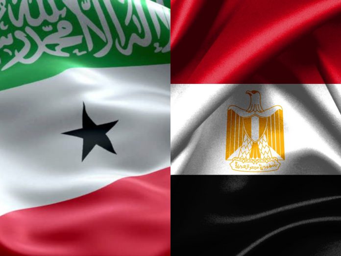 Taiwan – Somaliland Ties Drawing Attention From Egypt
