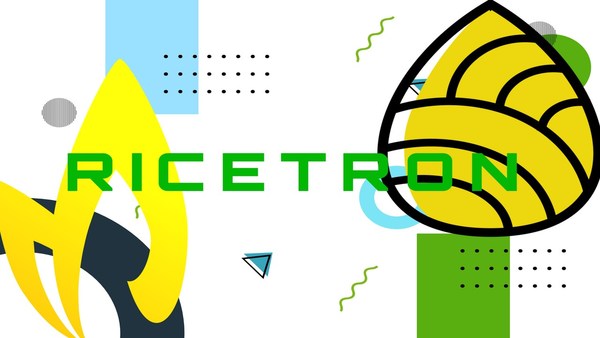 Rice-Based Stable Coin Launched In Indonesia