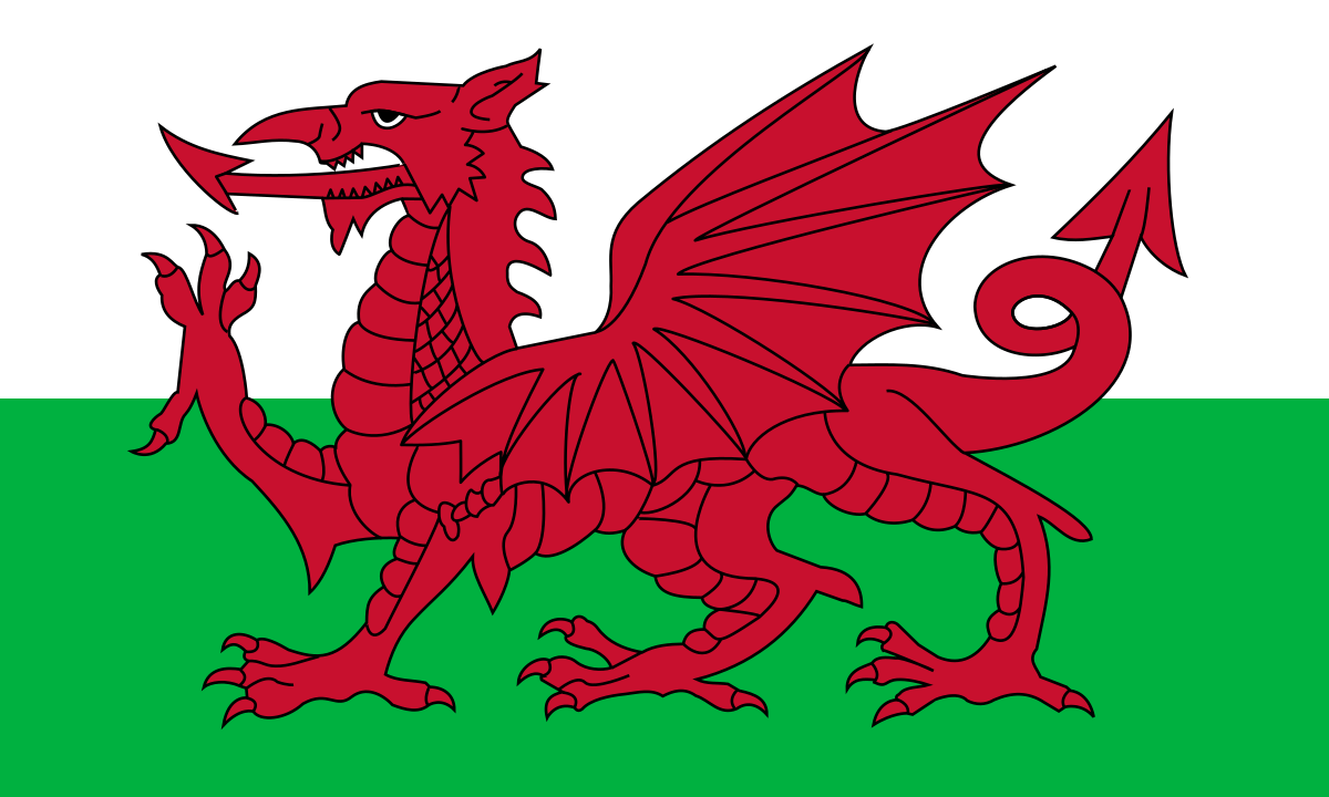 Welsh Language Learning Booming In The Pandemic