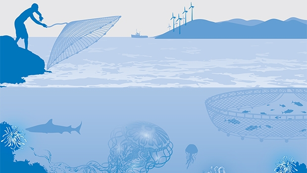 Leveraging Somaliland’s Blue Economy