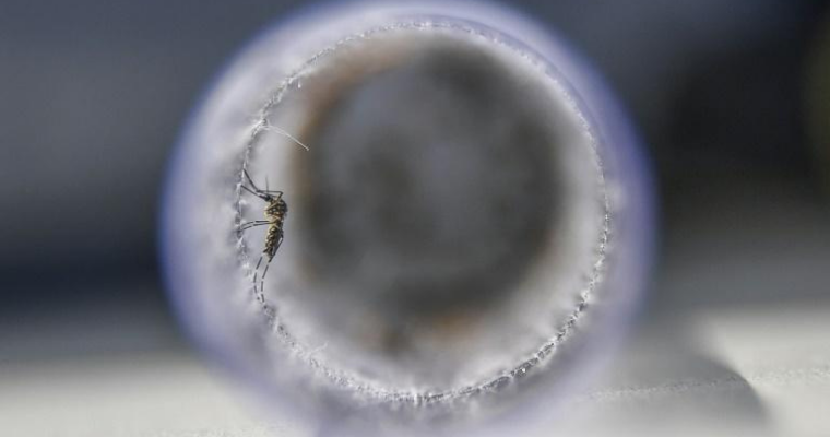 Zika virus cases confirmed in the state of Kerala, India