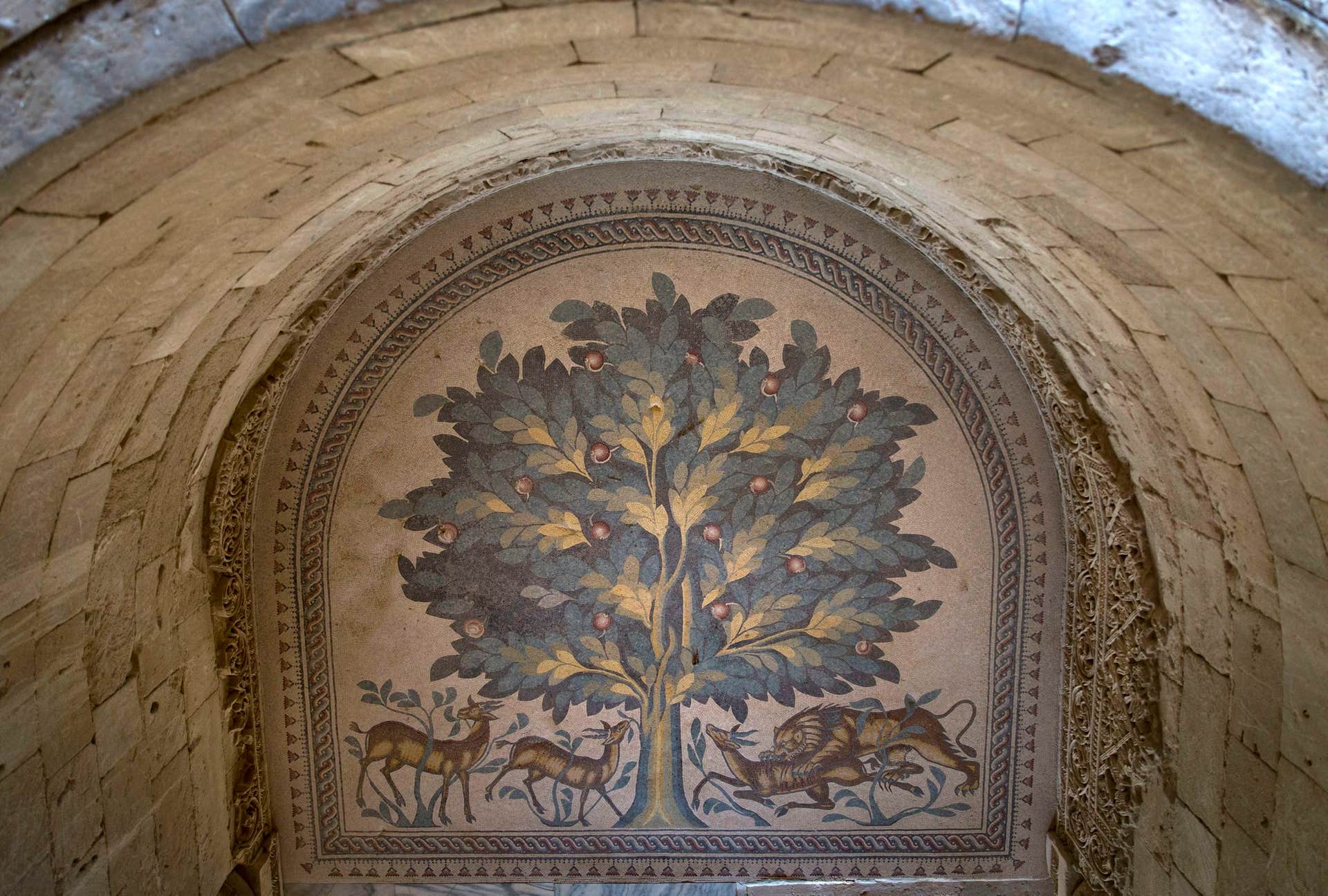 Largest floor mosaic discovered in Palestine