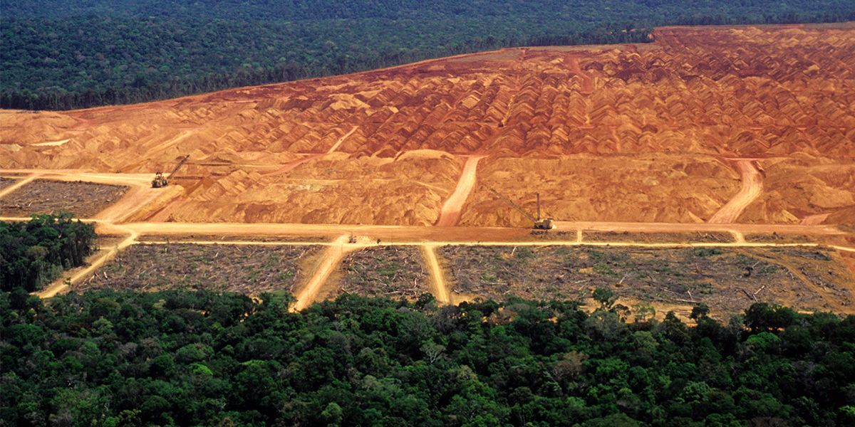 Amazon rainforest deforestation hits highest level in 15 years