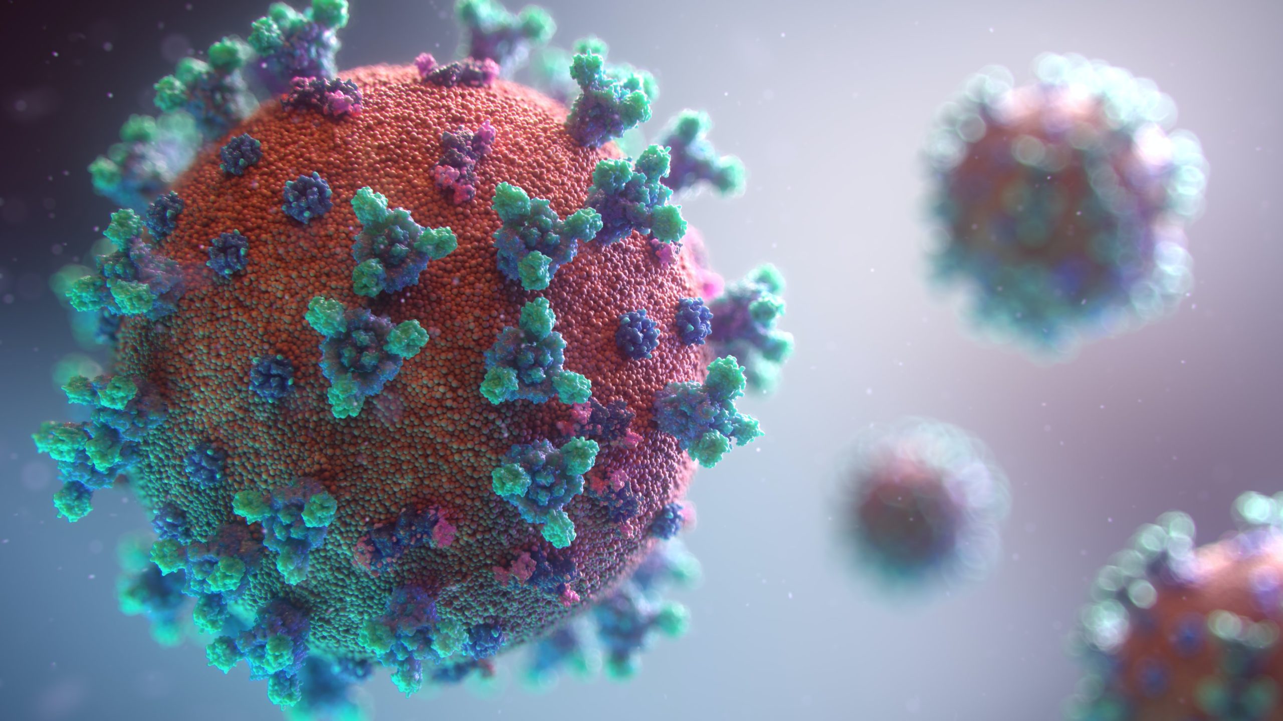 President Biden’s Covid-19 Symptoms resolved thanks to Pfizer’s new pill, Paxlovid