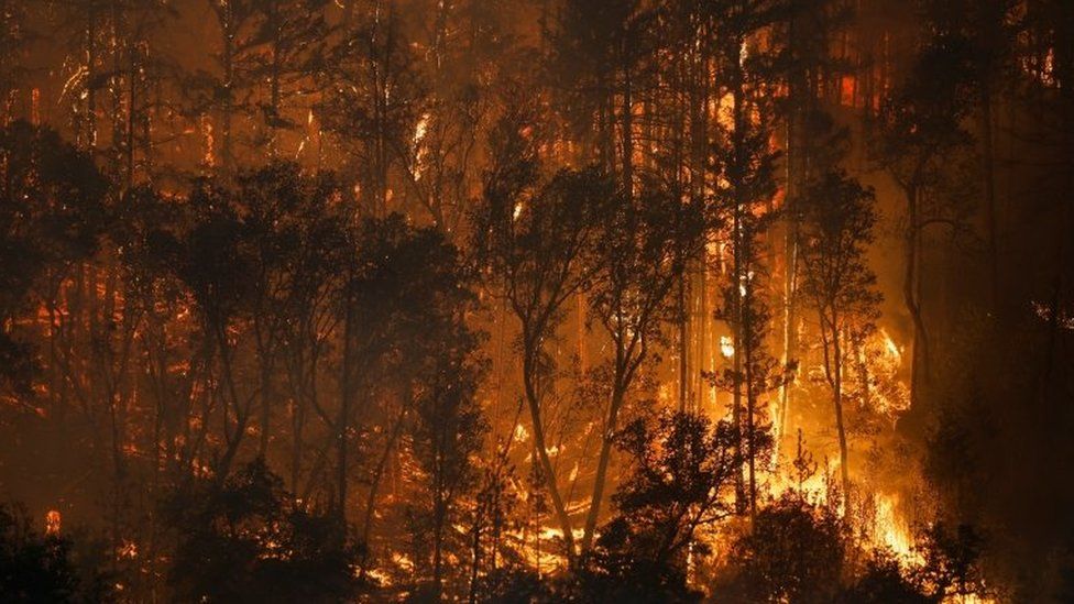 McKinney wildfire ravages north California countryside