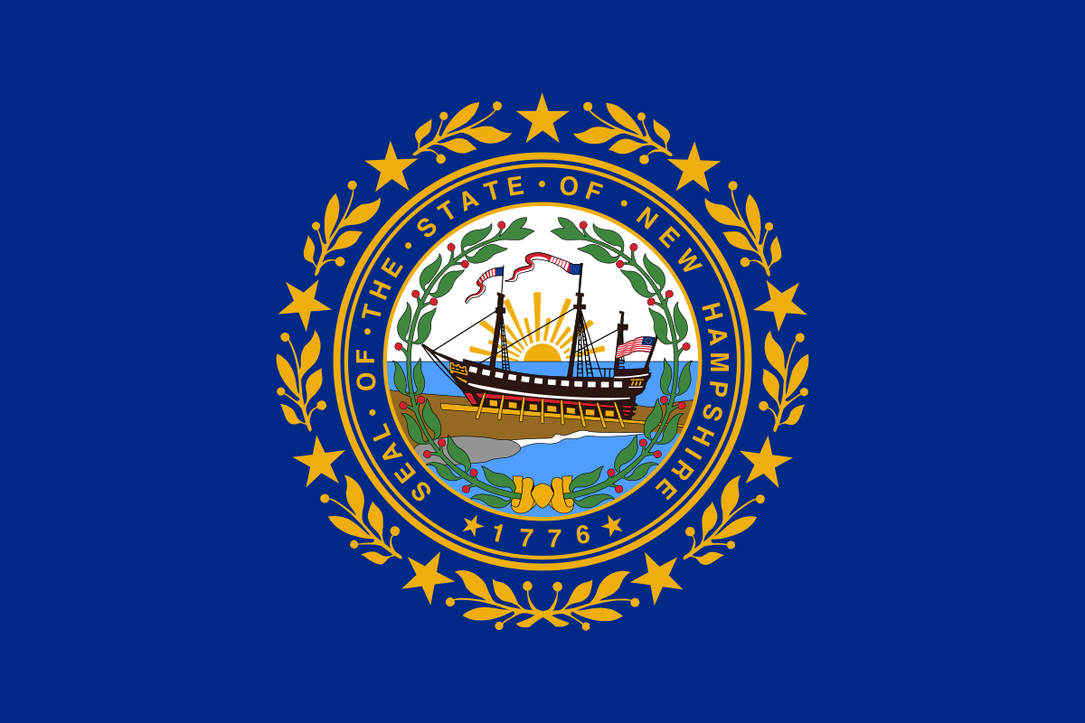 New Hampshire bans gender-transition surgery for minors despite protests