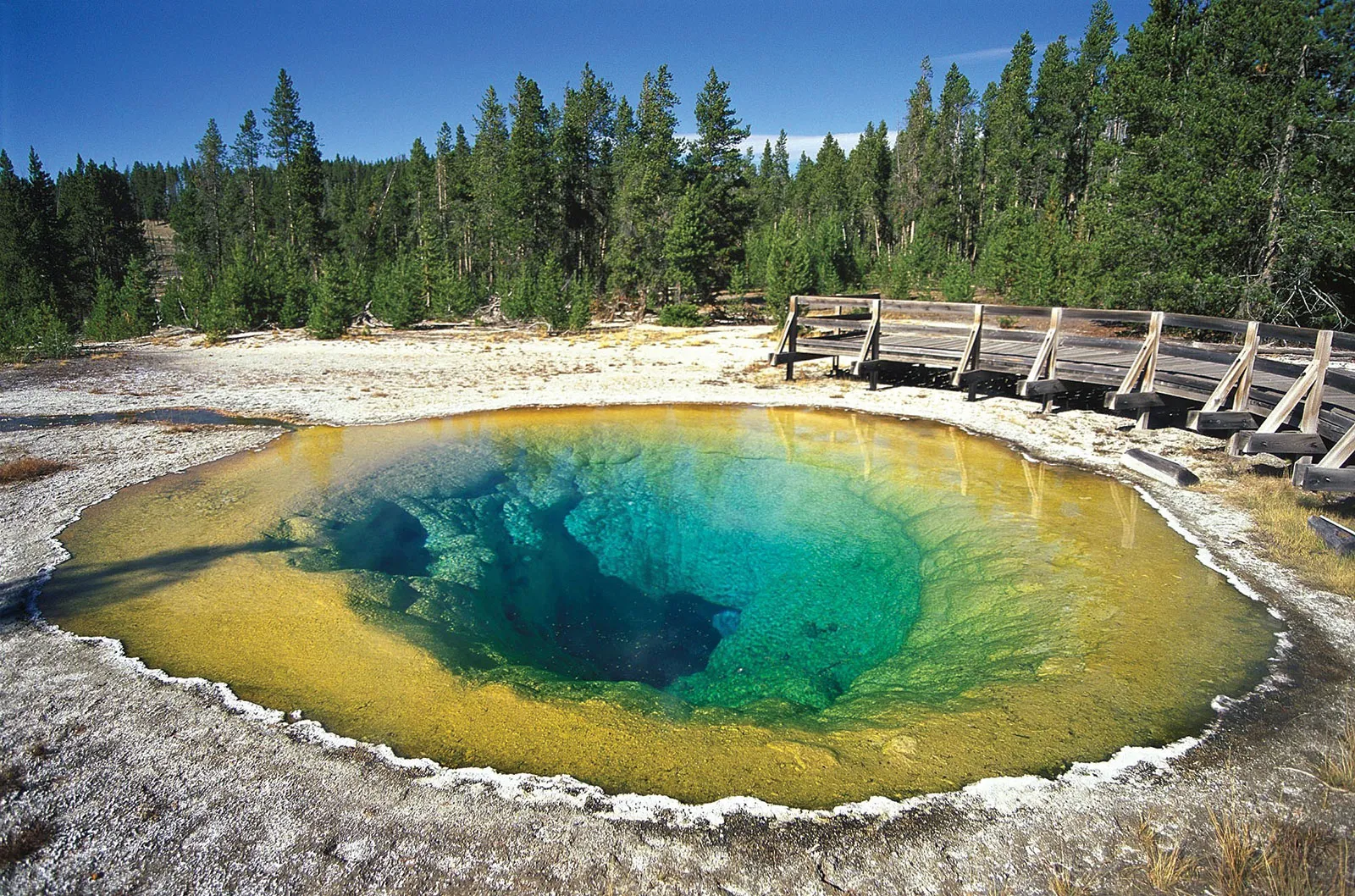 Hydrothermal Explosion in Yellowstone’s Biscuit Basin startles visitors